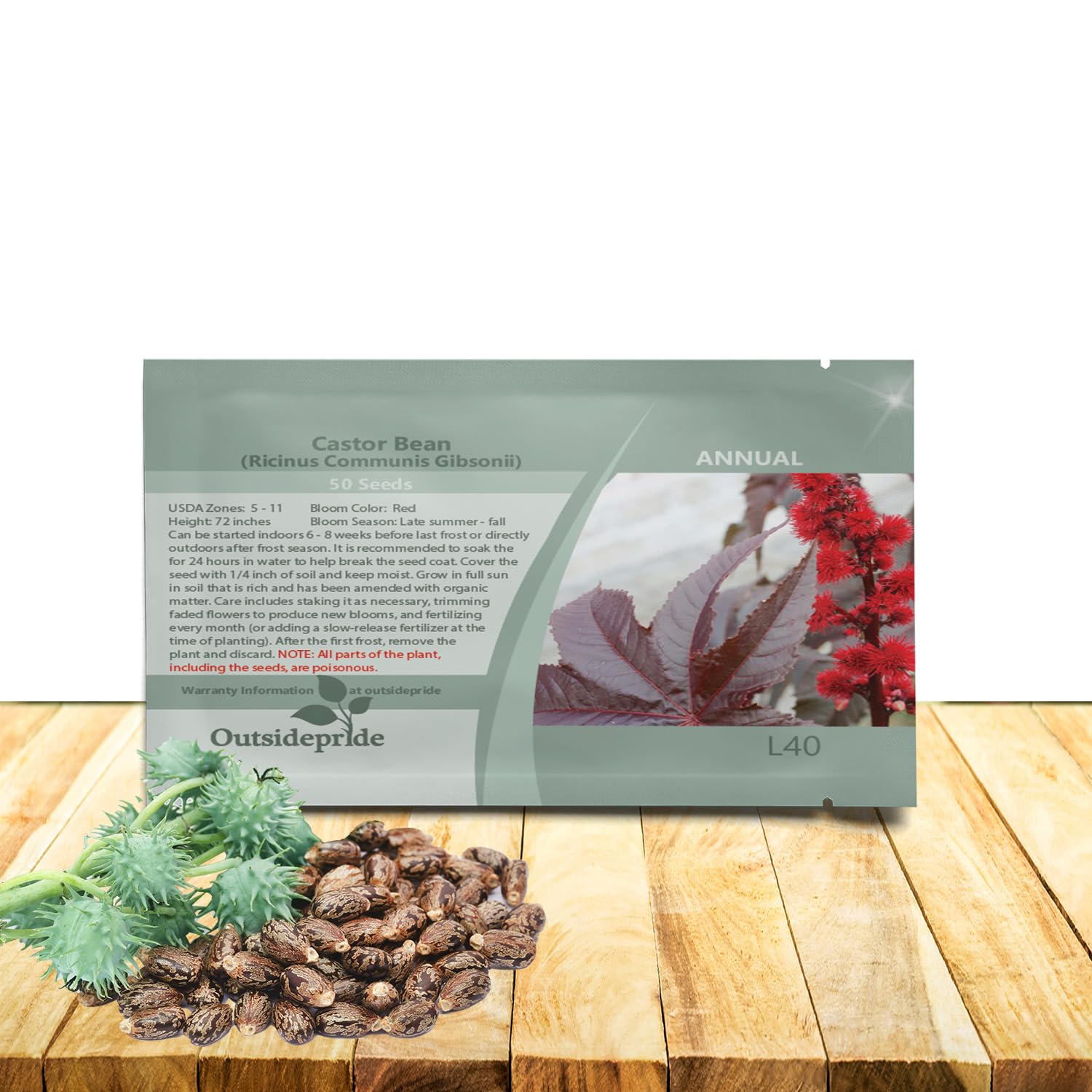 Outsidepride Gibsonii Castor Bean leaves display dramatic foliage for bold border accents