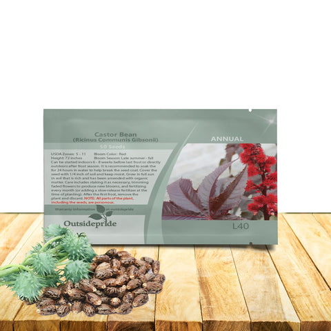 Outsidepride Gibsonii Castor Bean leaves display dramatic foliage for bold border accents