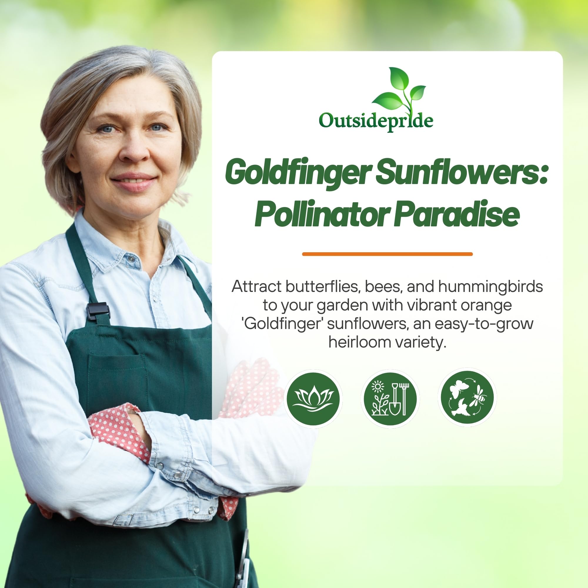 Outsidepride Goldfinger fast-growing annual delivers continuous color.
