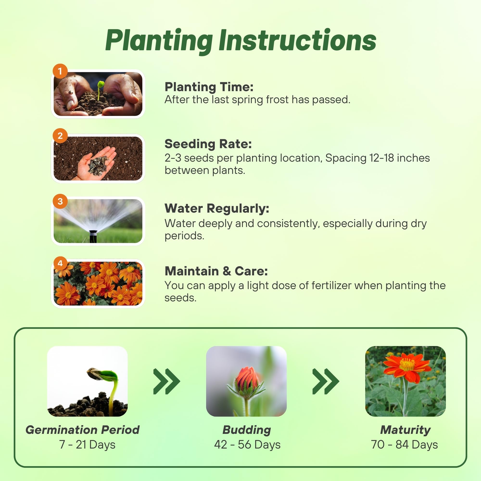 Outsidepride Goldfinger pollinator-attracting bloom invites pollinators.