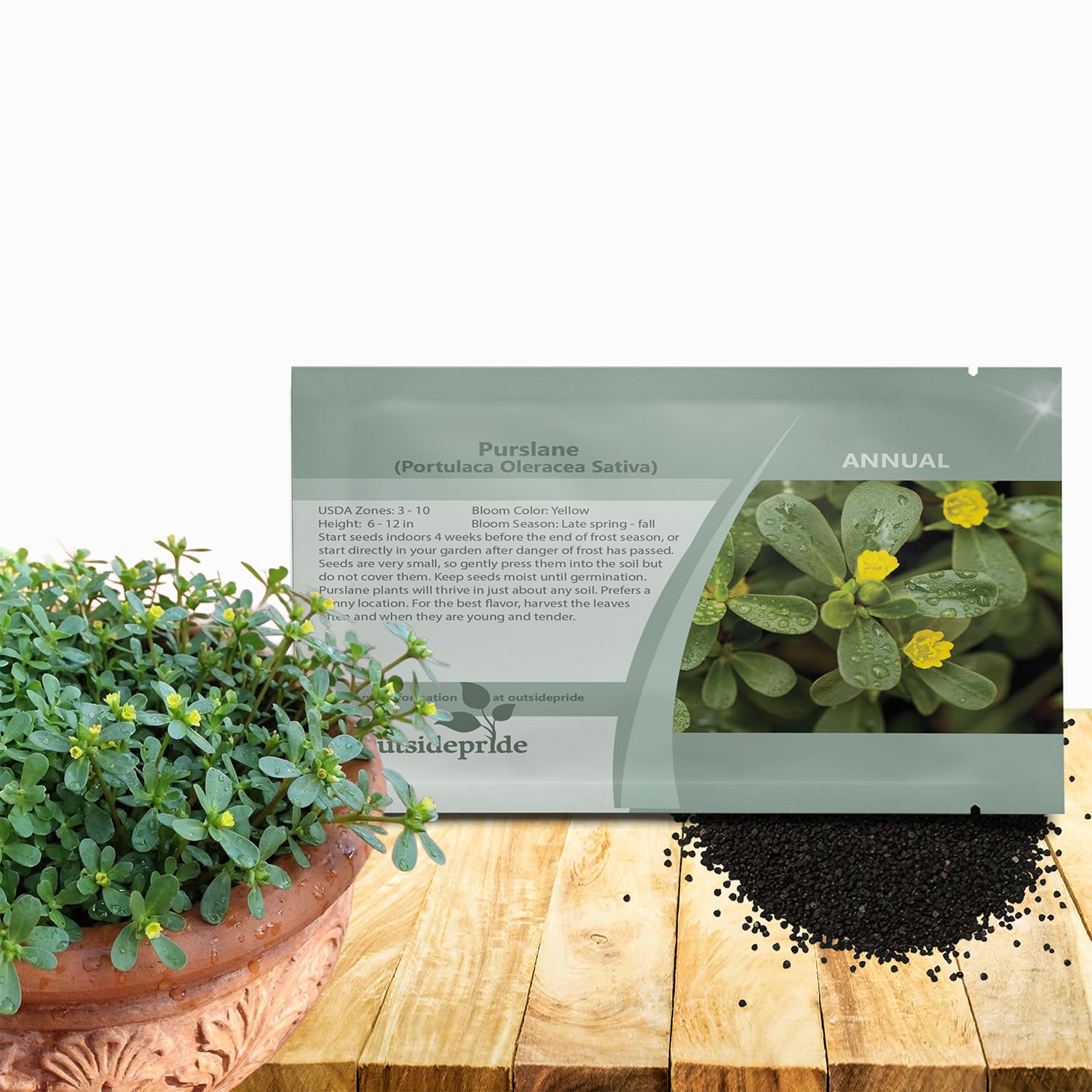 Outsidepride Green Purslane seeds bundle for bulk planting in beds and containers.