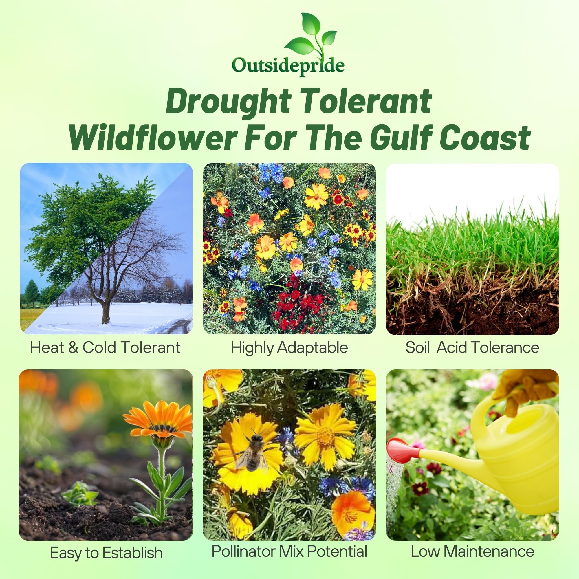 Outsidepride Gulf Coast wildflower seed mix native varieties support regional biodiversity in sun or shade.