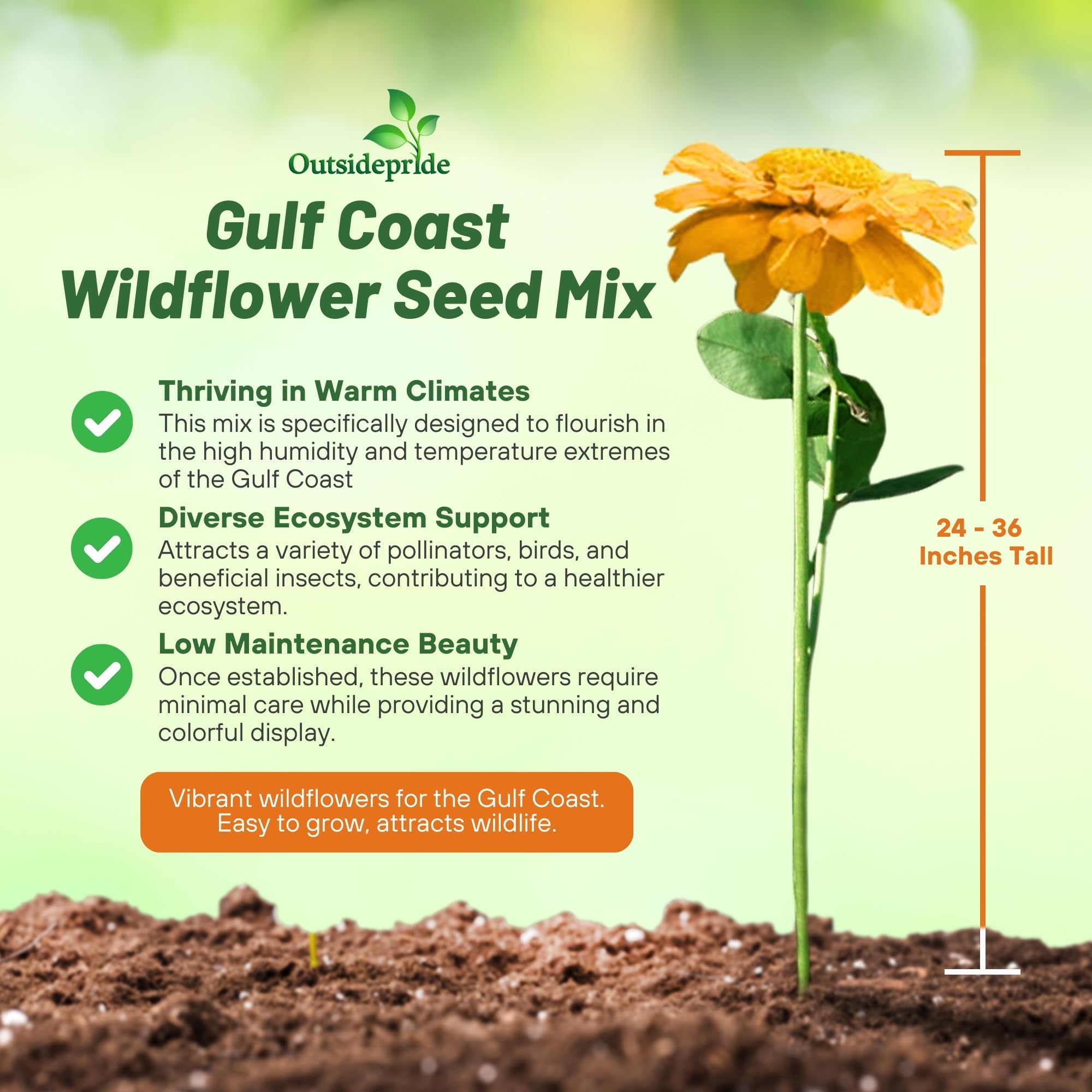 Outsidepride Gulf Coast wildflower seed mix pollinator bloom attracts bees and butterflies for healthy gardens.