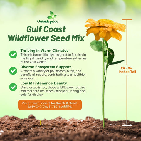 Outsidepride Gulf Coast wildflower seed mix tall blooms add vertical interest in warm climates.