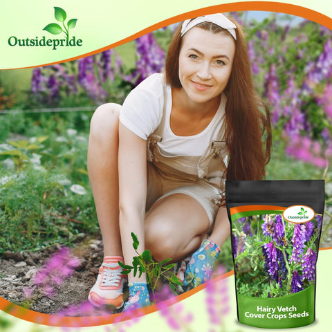 Pollinator-friendly blooms encourage beneficial insects in edible landscapes.