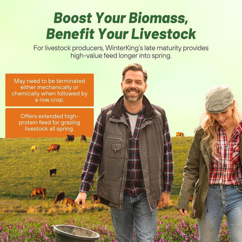 Outsidepride Hairy Vetch as pasture forage and livestock feed option.