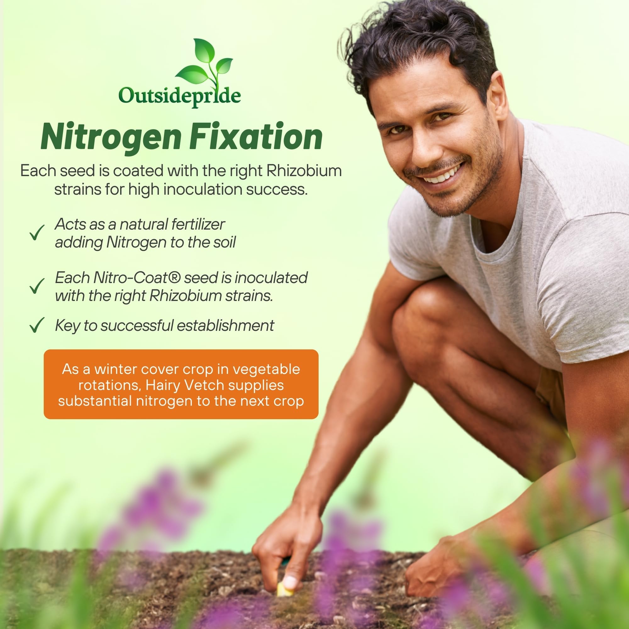Easy planting with high yield potential for field or garden plots.