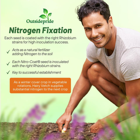Easy planting with high yield potential for field or garden plots.