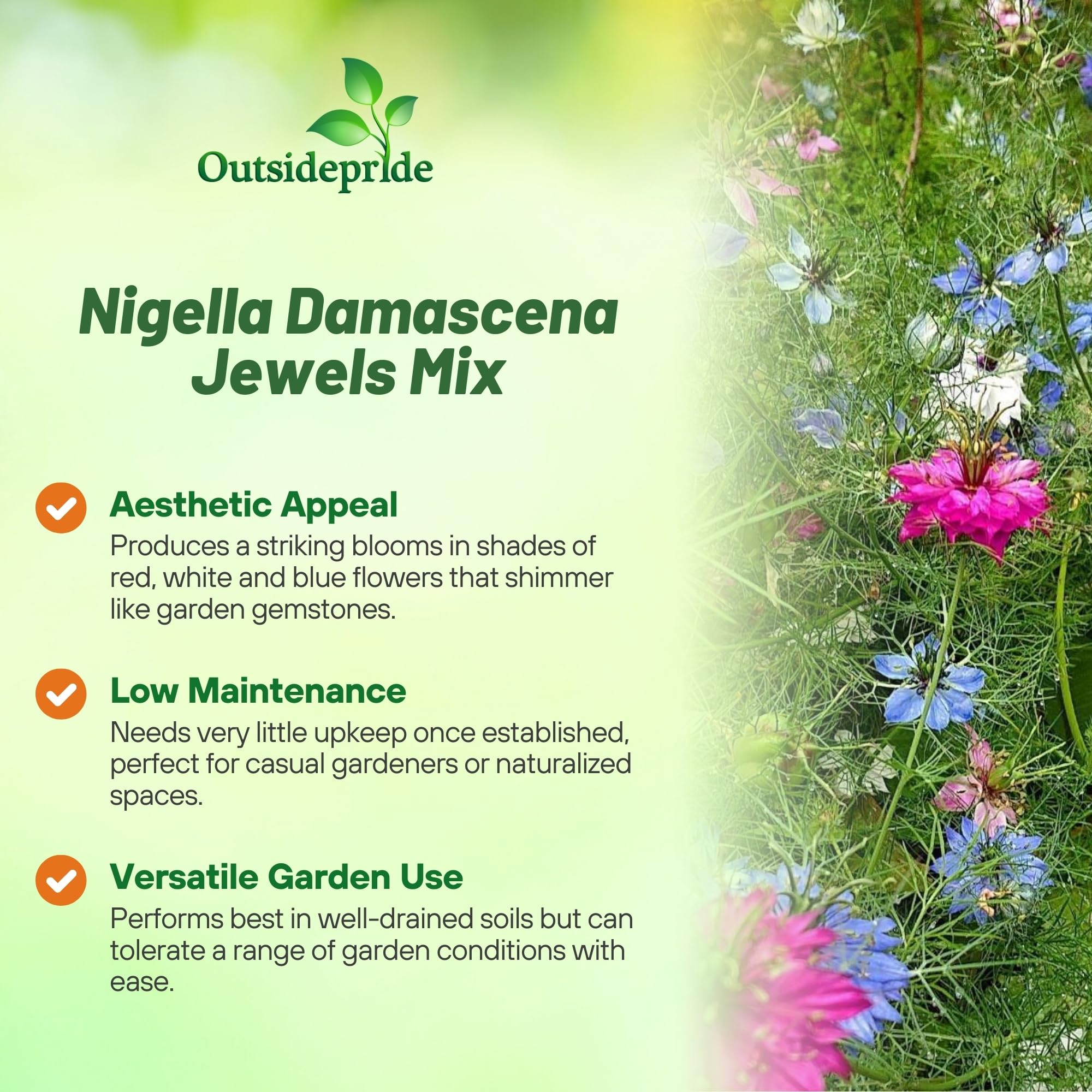 Outsidepride Jewels Mix Nigella seeds offer striking flowers for cut flower designs and bouquets.