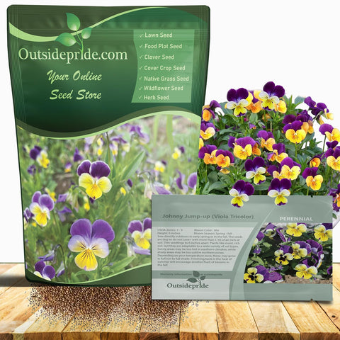 Outsidepride Johnny Jump Up Viola blooms in a vibrant mix, ideal for borders and containers, year-round color.