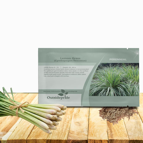 Outsidepride lemongrass seeds planting for a fragrant herb garden.