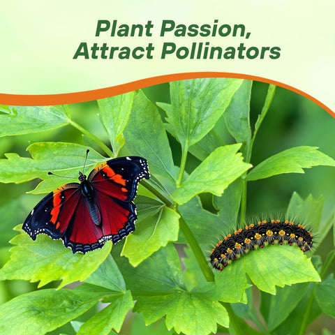 Outsidepride Lovage deer-deterrent trait helps protect garden plants.