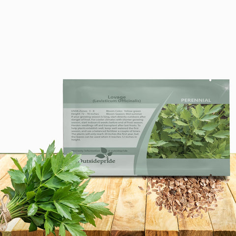 Outsidepride Lovage seeds bulk pack for easy perennial planting and drought-tolerant growth.