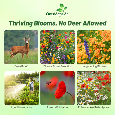 Outsidepride lupine and foxglove perennial blooms brighten borders.