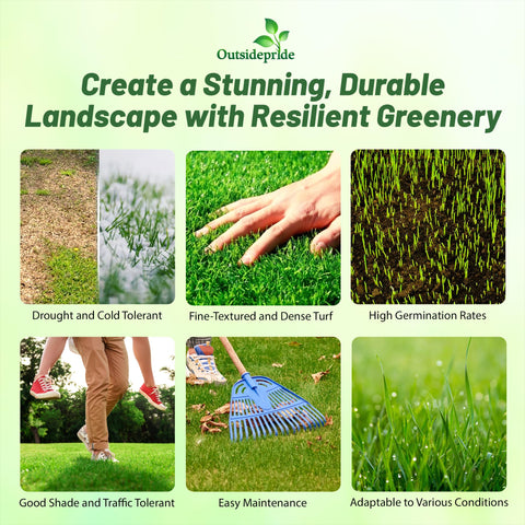Outsidepride Maya Blackjack II Bermuda seed spread close-up for even establishment and dense turf.