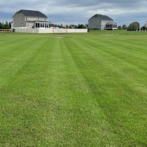 Outsidepride Maya Bermuda seed for versatile applications, new lawns or overseeding existing Bermuda.
