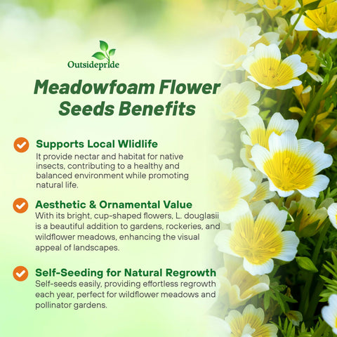 Outsidepride Meadowfoam seeds are deer-resistant, helping maintain tidy garden borders.