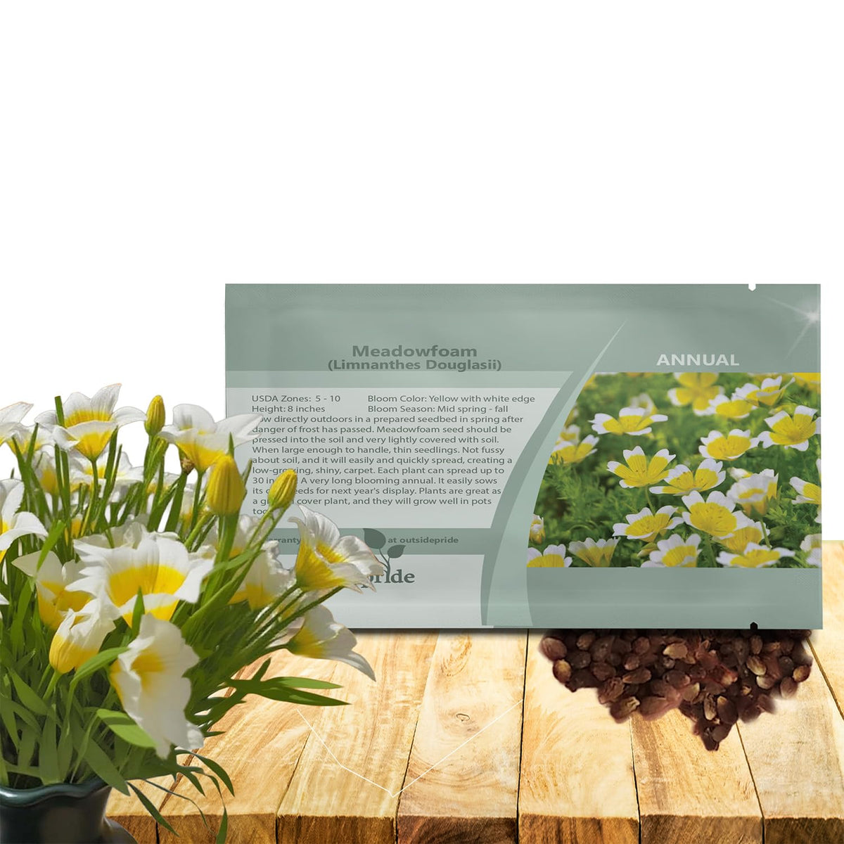 Outsidepride Meadowfoam seeds yield yellow-white blooms that attract pollinators in sunny borders.