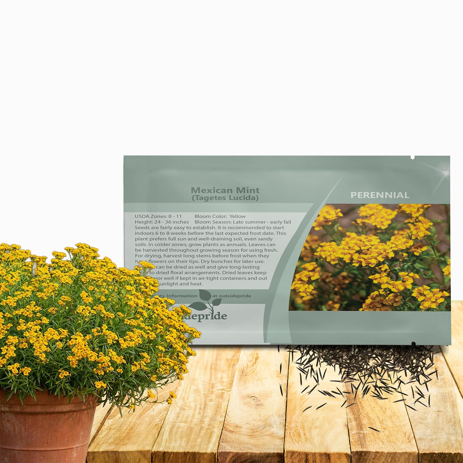 Outsidepride Mexican Mint seeds packet ready for indoor garden and fresh harvests