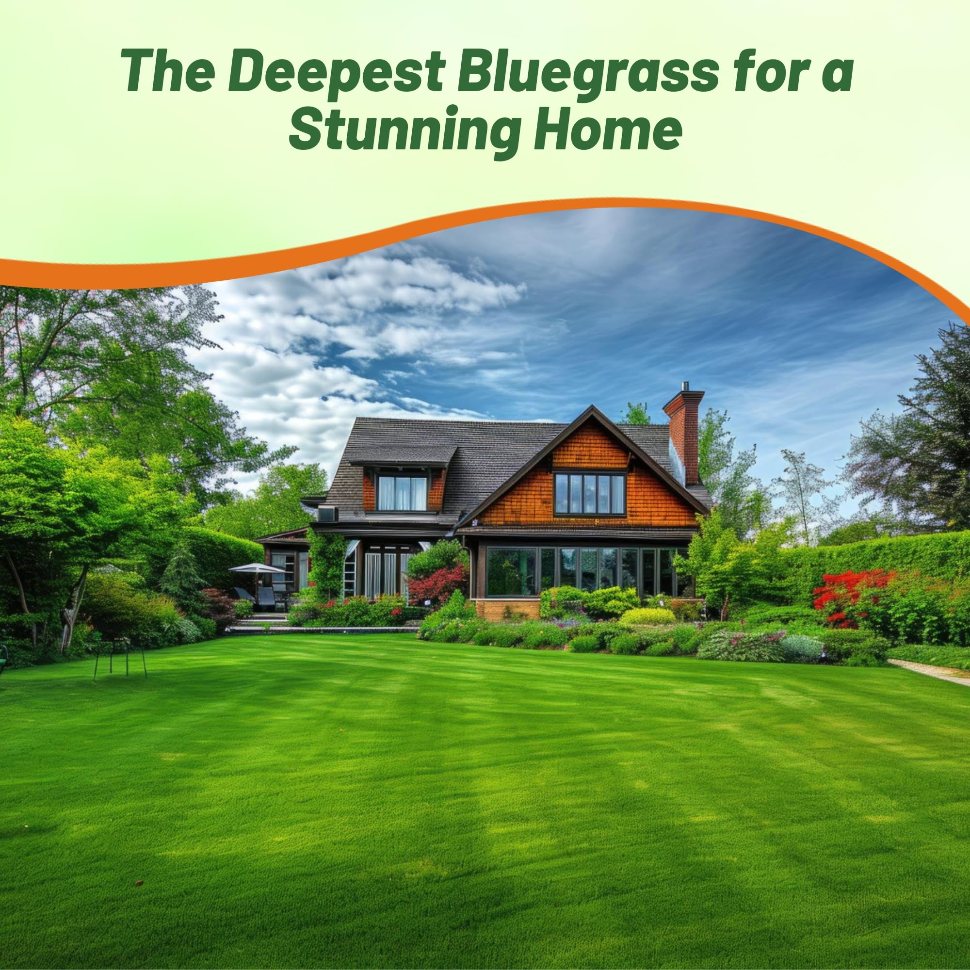 Outsidepride Midnight bluegrass seed color provides a rich, dark blue-green lawn year-round