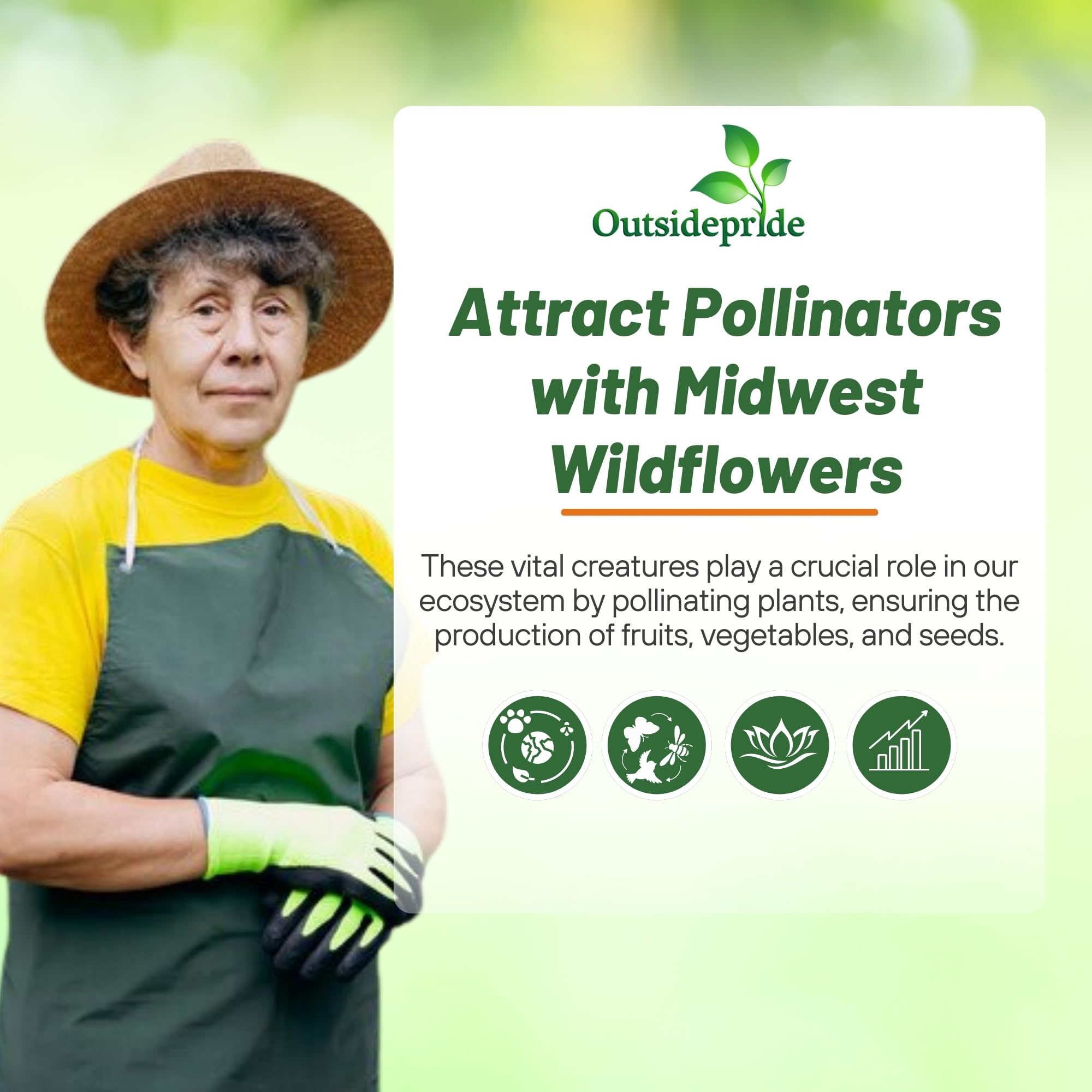 Outsidepride Midwest Wildflower Seed Mix full bloom meadow showing color and height.