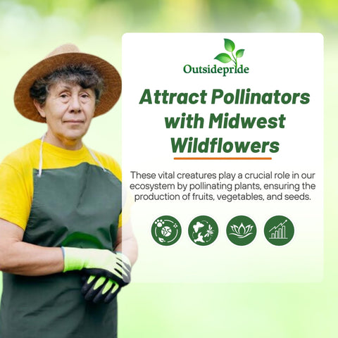 Outsidepride Midwest Wildflower Seed Mix full bloom meadow showing color and height.