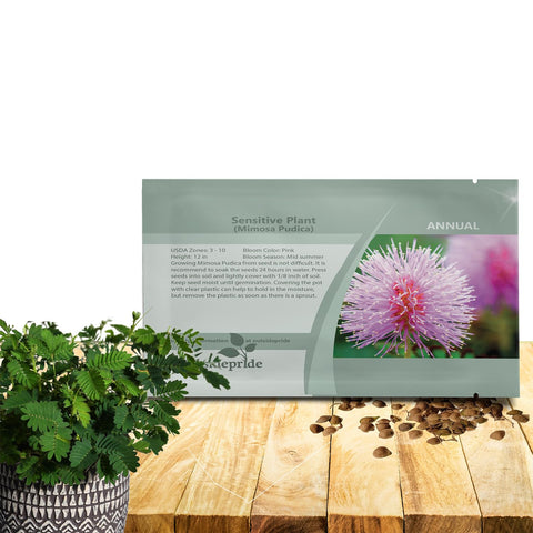 Outsidepride Mimosa Pudica seeds packet front for educational planning