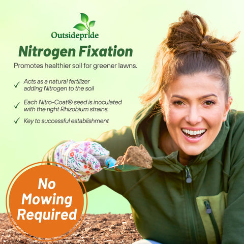 Outsidepride MiniClover drought-tolerant lawn solution ideal for busy yards.