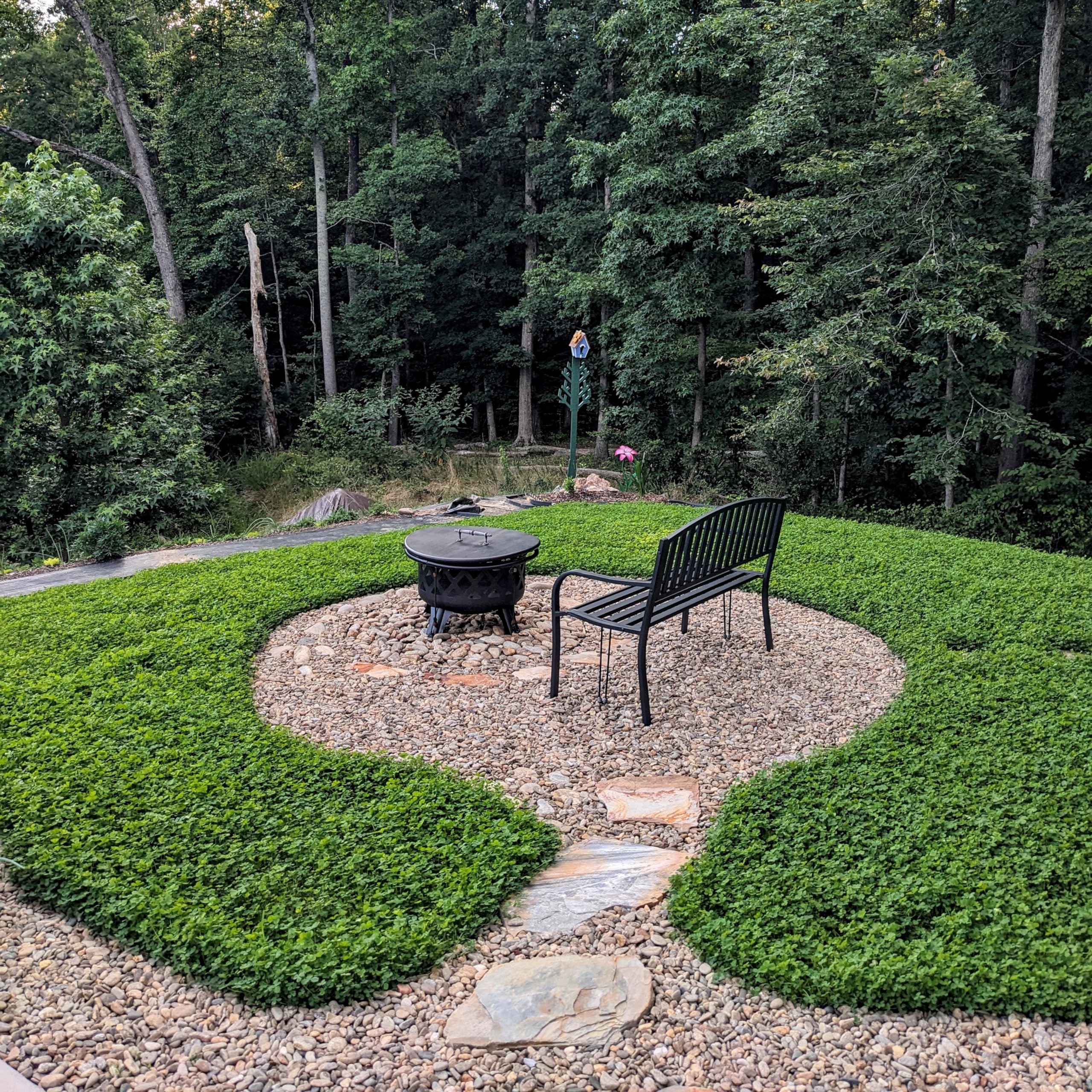 Outsidepride Miniclover seed blends with grass for a lush ground cover