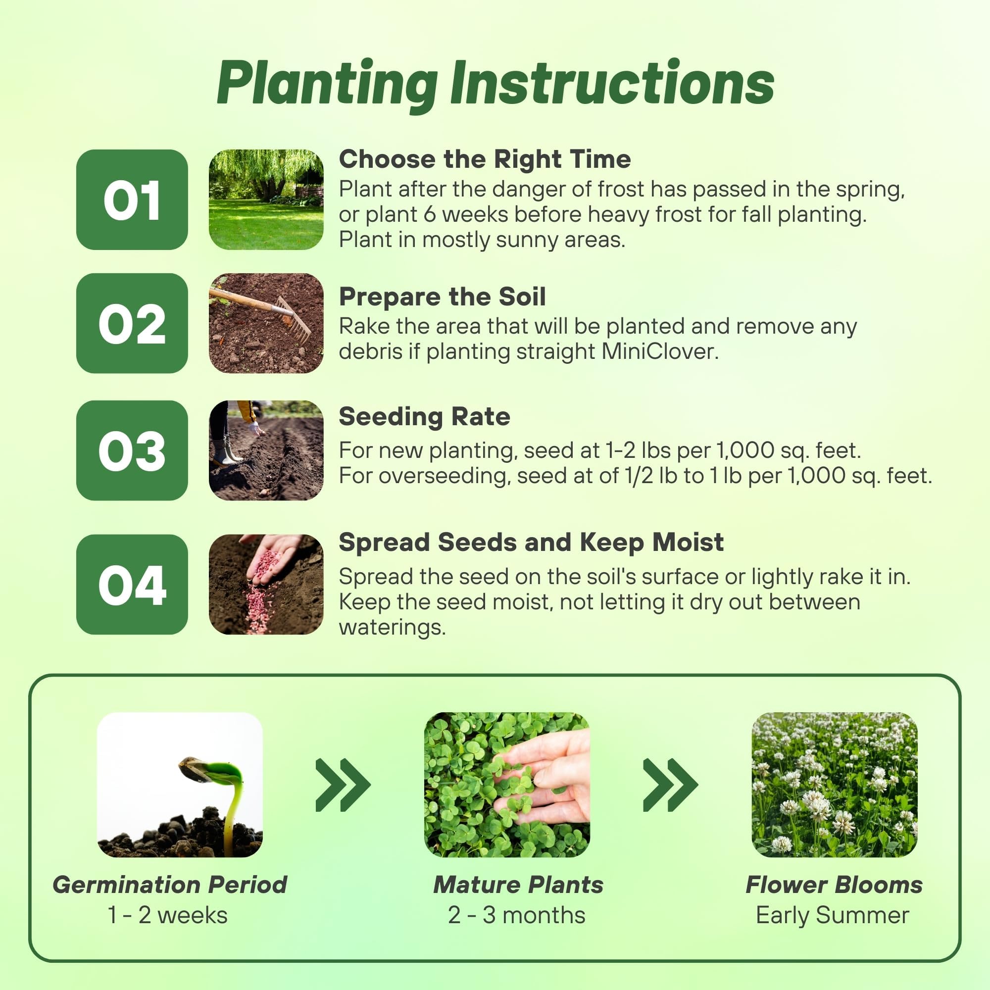Outsidepride Miniclover seed nitrogen-fix feature helps enrich soil naturally