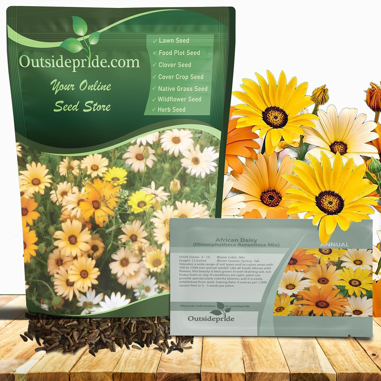 Outsidepride Mix African Daisy Seeds in a seed packet showing vibrant sunny blooms for borders