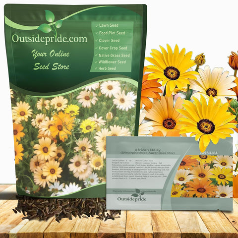 Outsidepride Mix African Daisy Seeds in a seed packet showing vibrant sunny blooms for borders