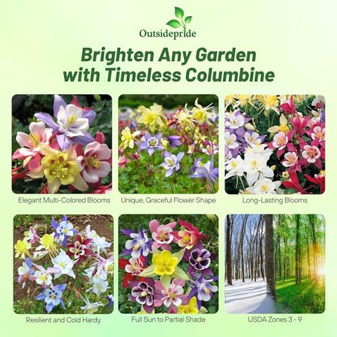 Outsidepride columbine seeds attract pollinators with dazzling blooms in your garden