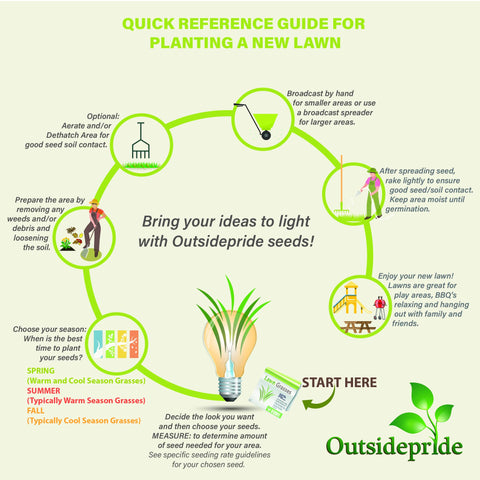 Outsidepride naturally-green lawn seed mix delivering steady color.