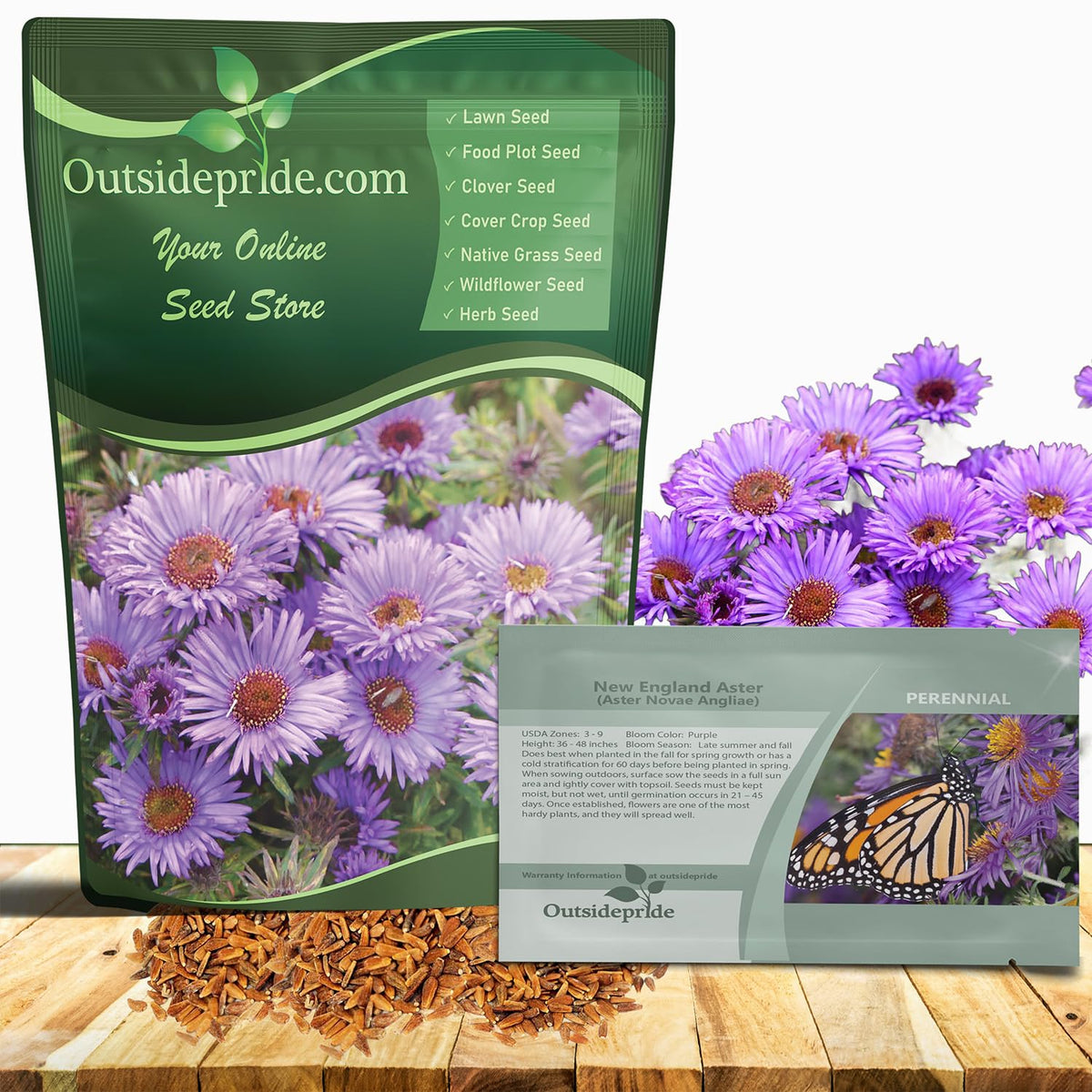 Outsidepride New England Aster seeds offer vibrant purple blooms for colorful beds.