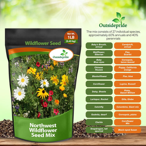 Outsidepride Northwest Wildflower Seed Mix sprouts demonstrating early color potential.
