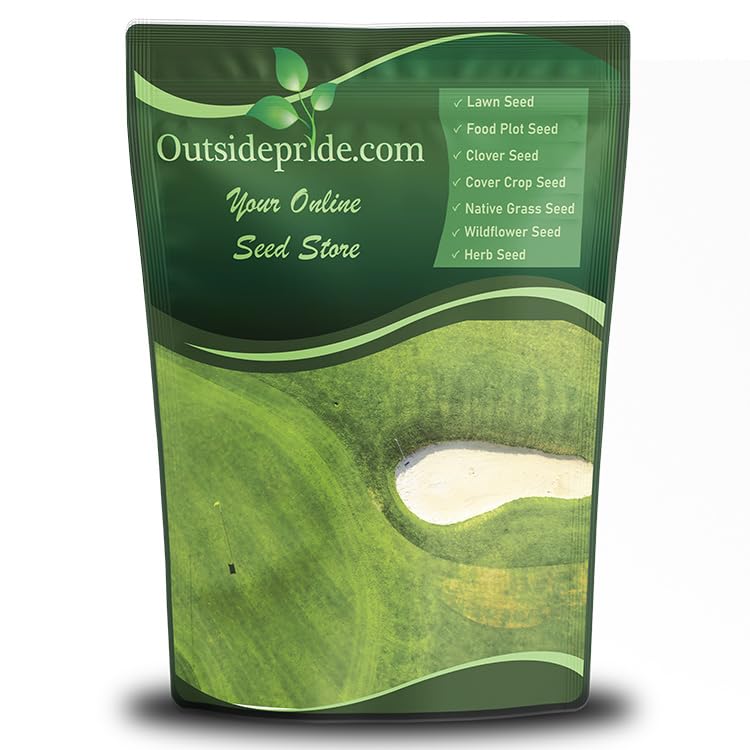 Outsidepride Oasis Bermuda seed bag (5 lbs) ready for quick sun-loving lawn establishment.