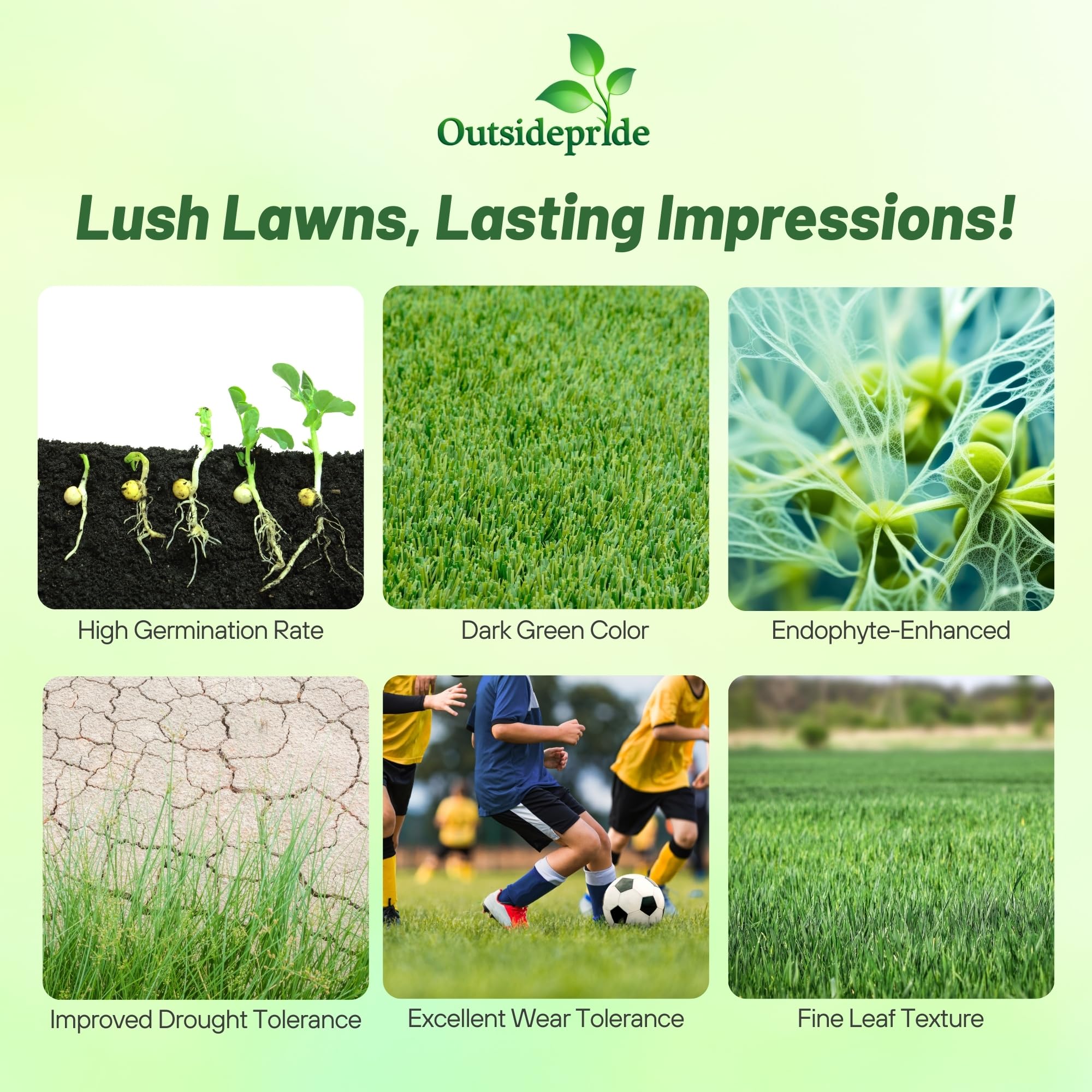 Outsidepride OptiGrowth coating speeds germination and even establishment