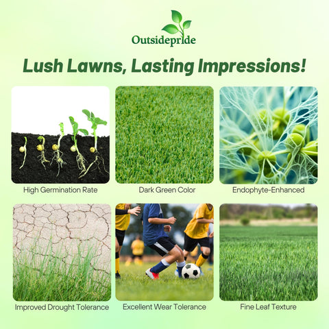 Outsidepride OptiGrowth coating speeds germination and even establishment