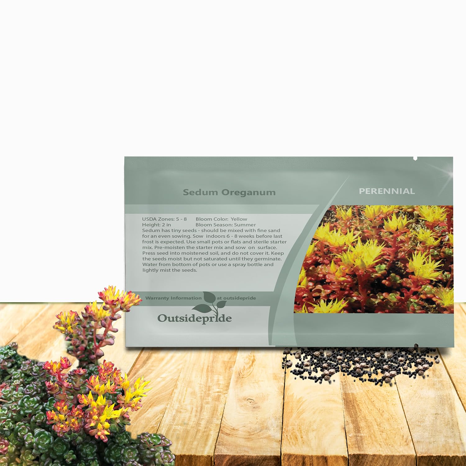 Outsidepride Oregnum Sedum seeds form dense ground-cover mats.