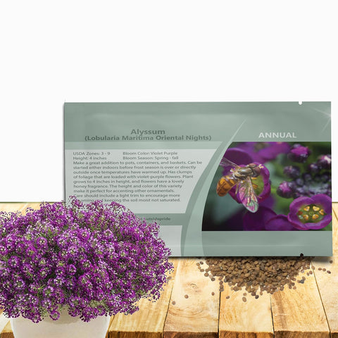 Outsidepride Oriental Nights Alyssum seeds forming fragrant bloom clusters for pollinator gardens.