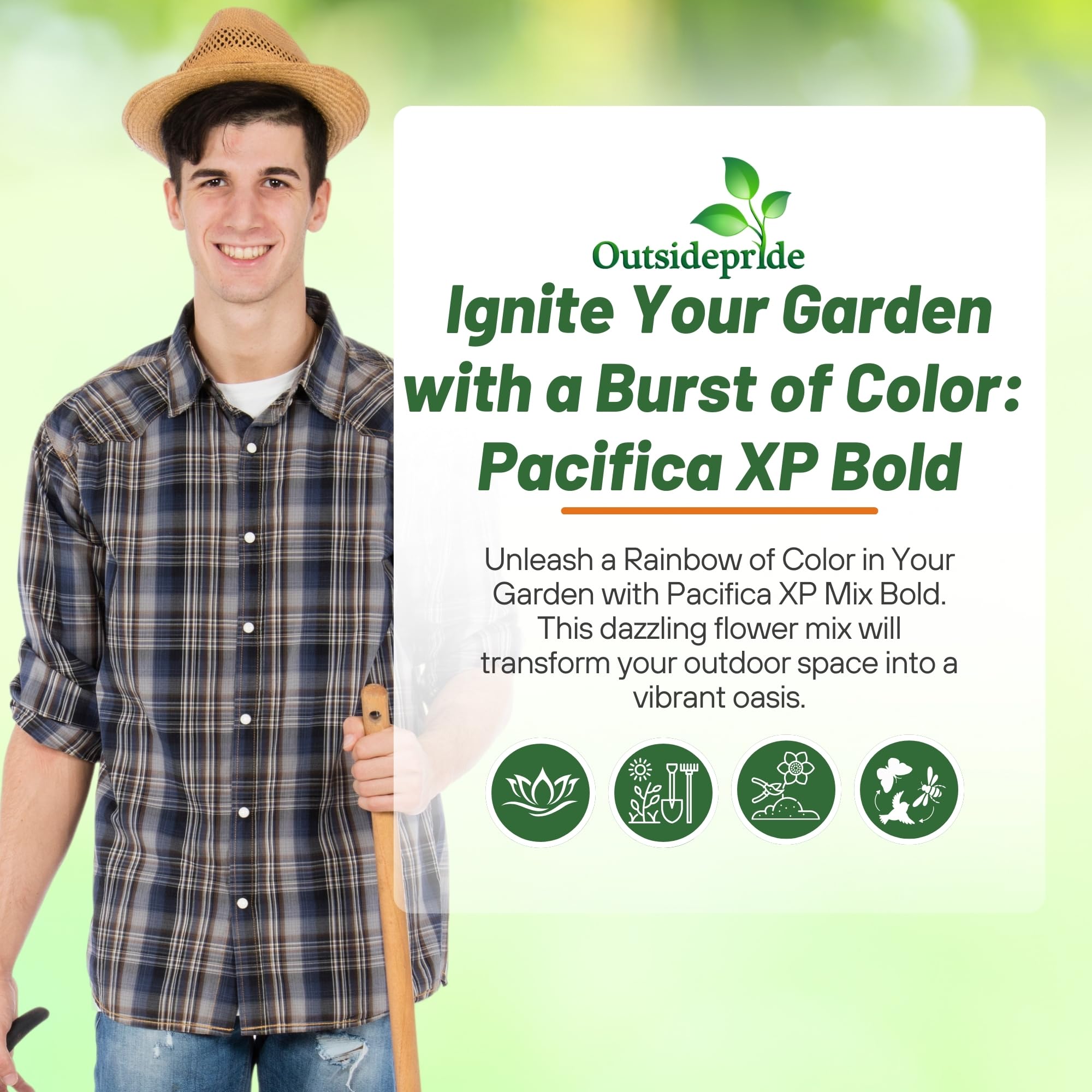 Outsidepride Pacifica XP Bold Mix Bed border plant – ideal for edging and color.