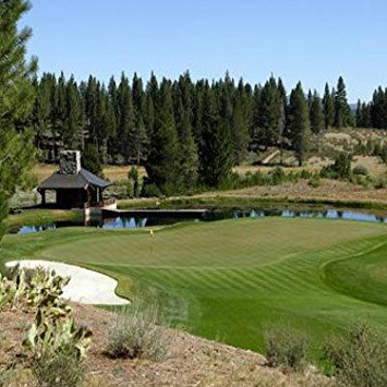 Outsidepride PC2.0 Penncross bentgrass seed for dense putting greens and durable turf.