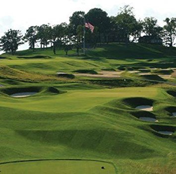 Outsidepride PC2.0 Penncross bentgrass seed for lush green turf with wear resistance.