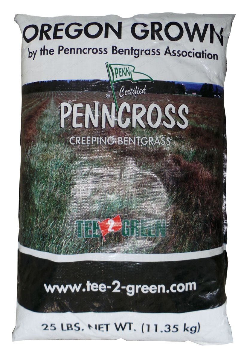 Outsidepride PC2.0 Penncross dense green turf ready for fairways