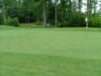 Outsidepride PC2.0 Penncross seed pack for high traffic tees and greens