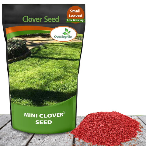 Outsidepride Perennial White MiniClover seed pack showing lawn-friendly ground cover potential