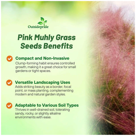 Outsidepride Pink Muhly privacy screen enhances outdoor spaces.
