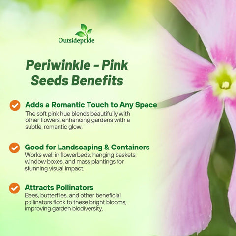 Outsidepride Pink Periwinkle seeds offer compact growth for front borders.