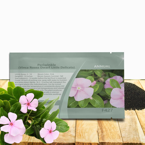 Outsidepride Pink Periwinkle seeds for early bloom in garden beds.